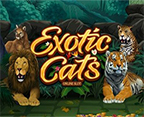 Exotic Cats